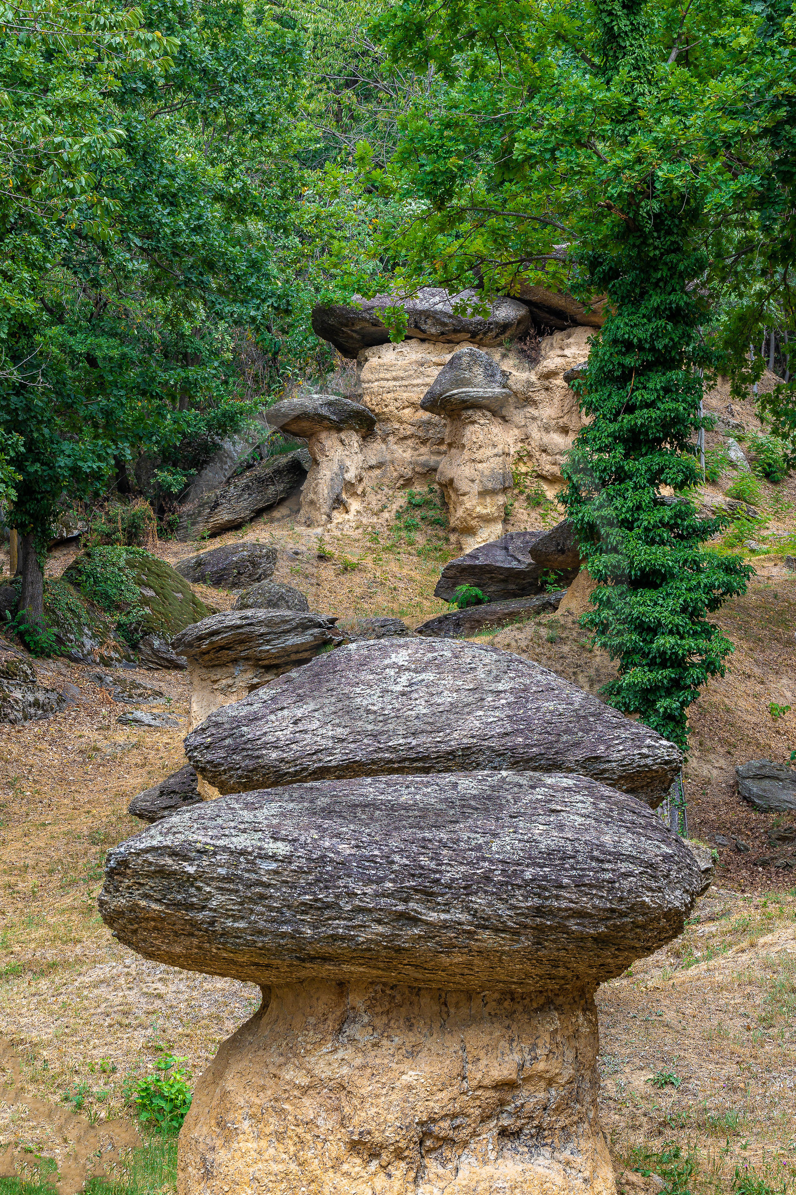 Valle Maira, Villar San Costanzo, Riserva Naturale Ciciu del Villar