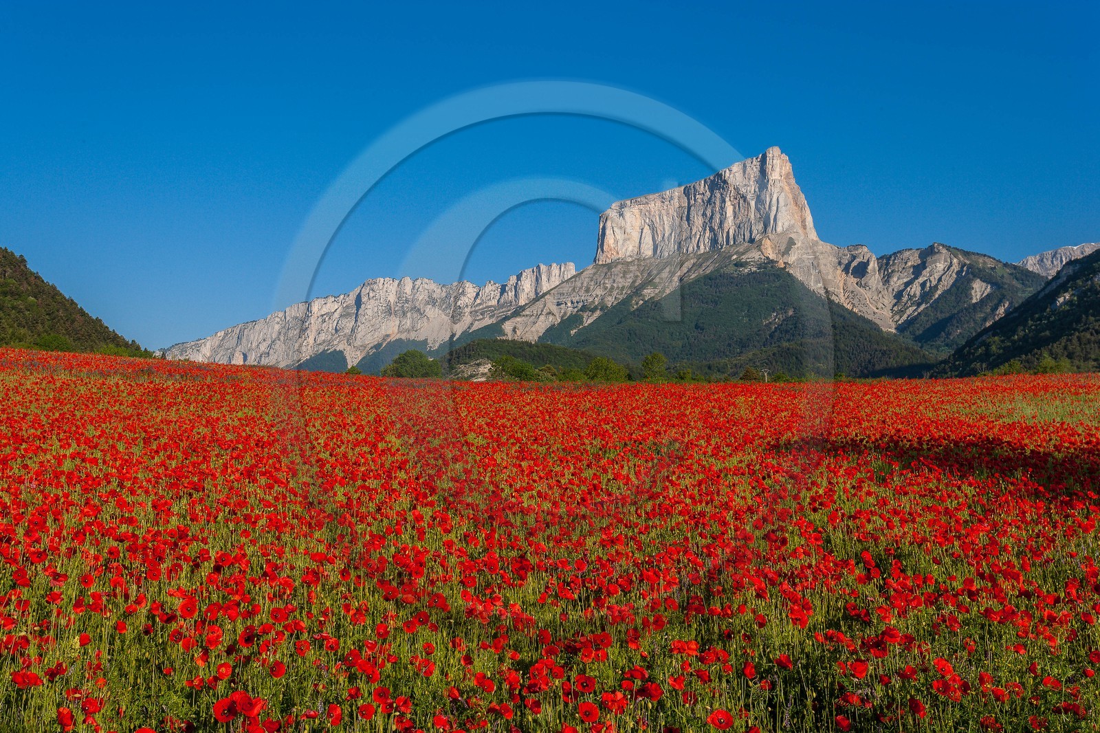 Trièves, le Mont-Aiguille