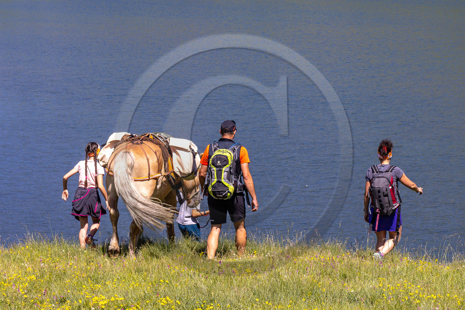 Trek famille avec animaux de bats