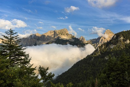 vallon de La Jarjatte
