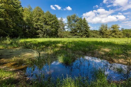 ENS de l'Isère, Boucle des Moïles