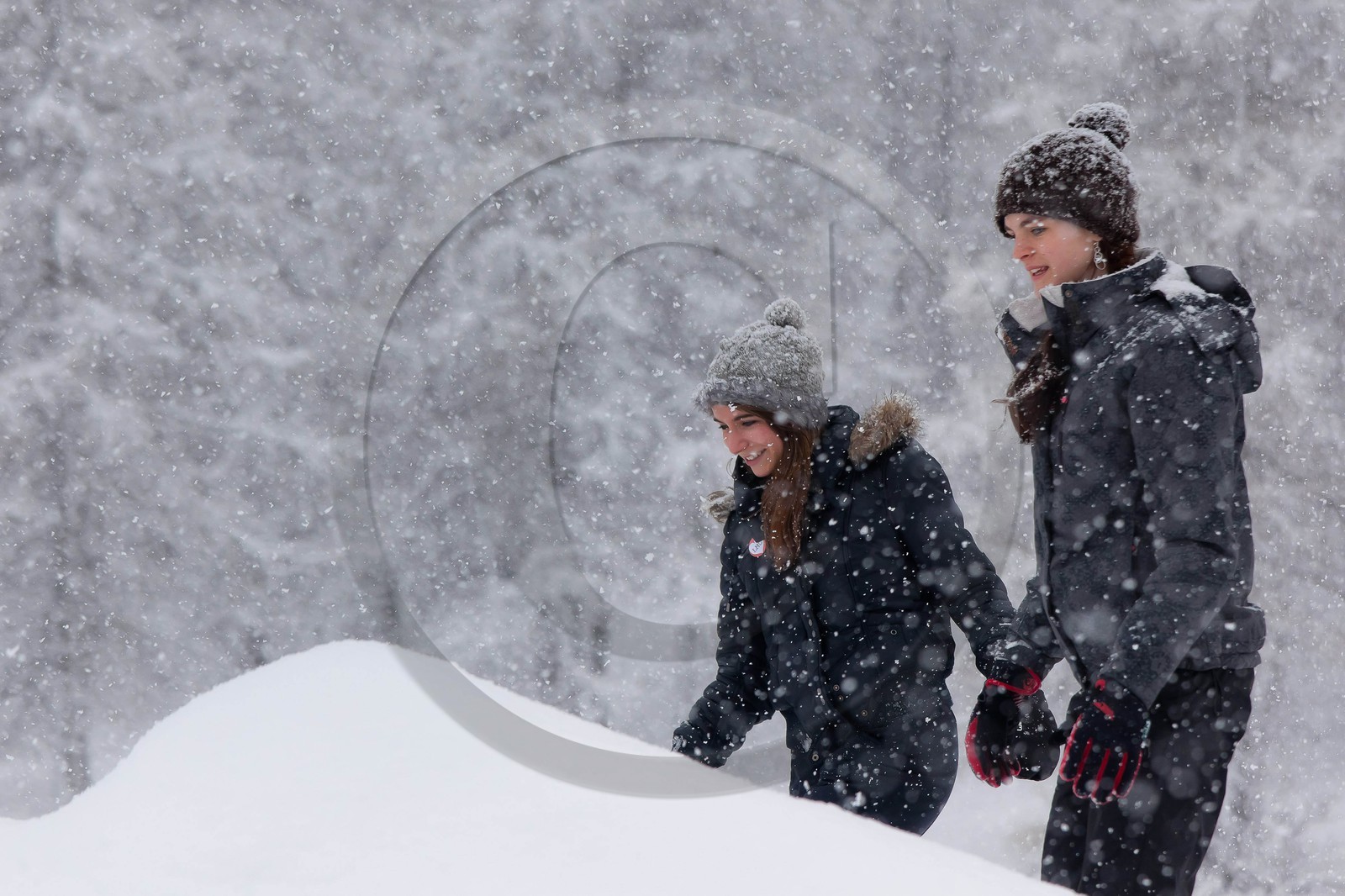 Hiver, randonnée balade sous la neige