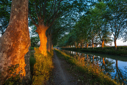 Canal du Midi, inscrit au Patrimoine mondial de l'UNESCO