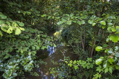 ENS de l'Isère, Prairies inondables de Pont-Évêque