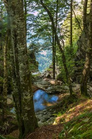 ENS de l'Isère, Les Ecouges