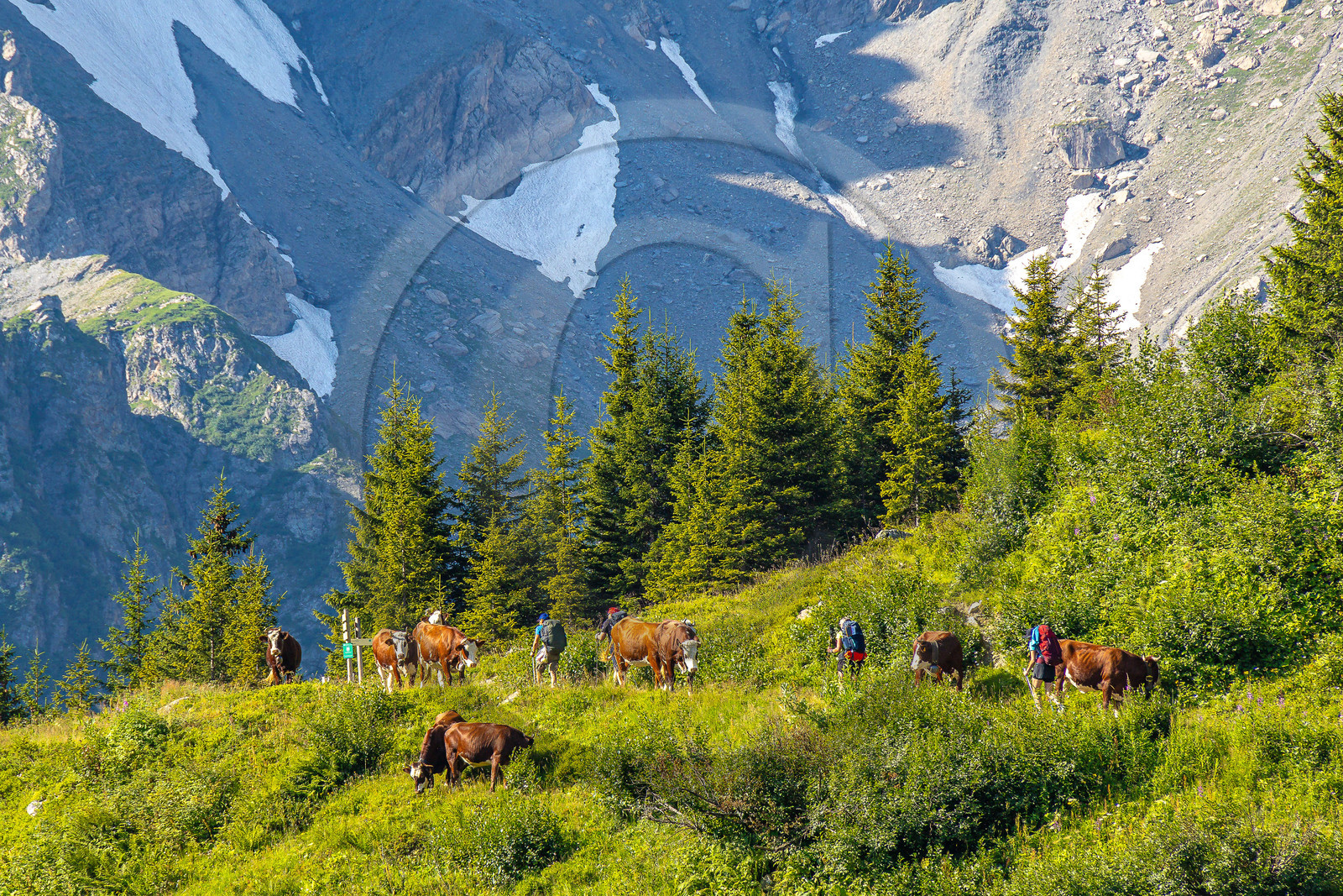 Réserve Naturelle des Contamines-Montjoie, randonnée pédestre