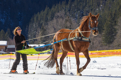 Ranch of Ancolie, Véronique Lefèvre., ski-joëring
