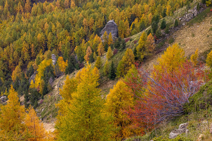L'automne dans la Vallée du Champsaur