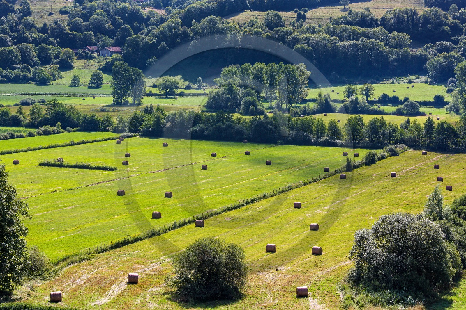 ENS de l'Isère, Marais de Chirens