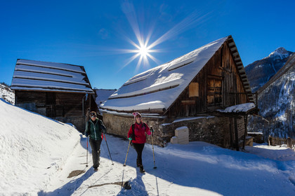 Randonnée en raquettes à neige