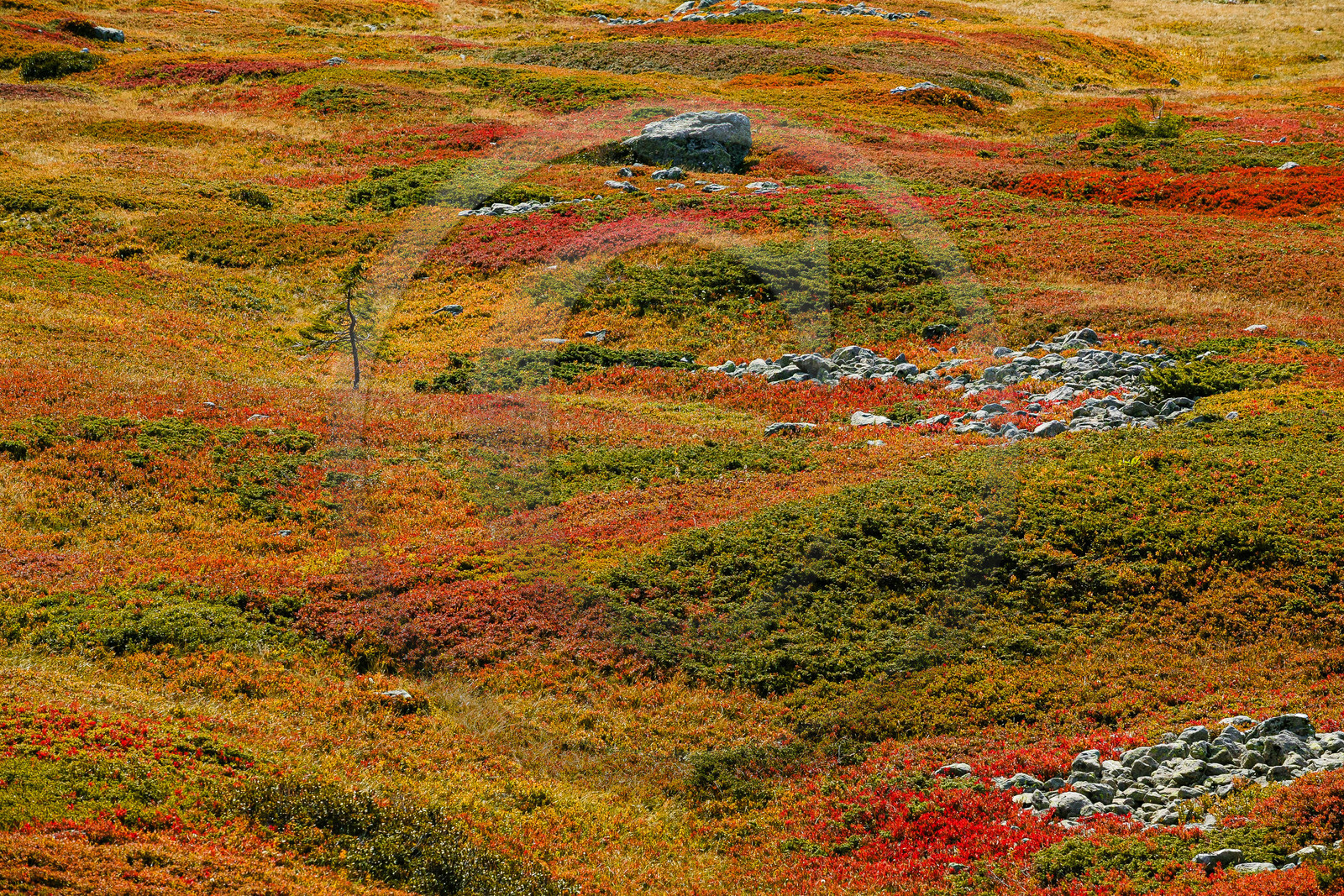 Randonnée pédestre sur le sentier des lacs Jovet