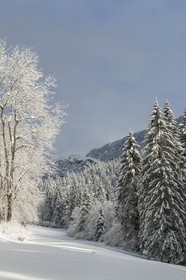 ENS de l'Isère, Les Ecouges