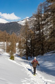 Ancelle, col de Moissière, randonnée à raquettes à neige