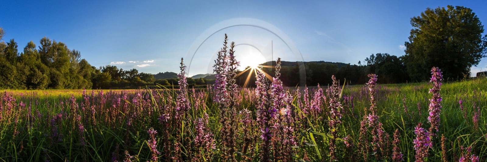 ENS de l'Isère, Boucle des Moïles
