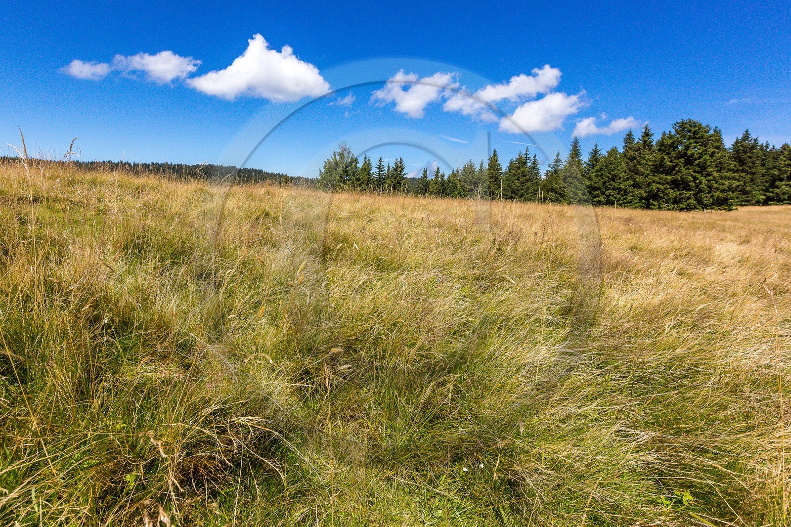 ENS de l'Isère, Plateau de la Molière et du Sornin