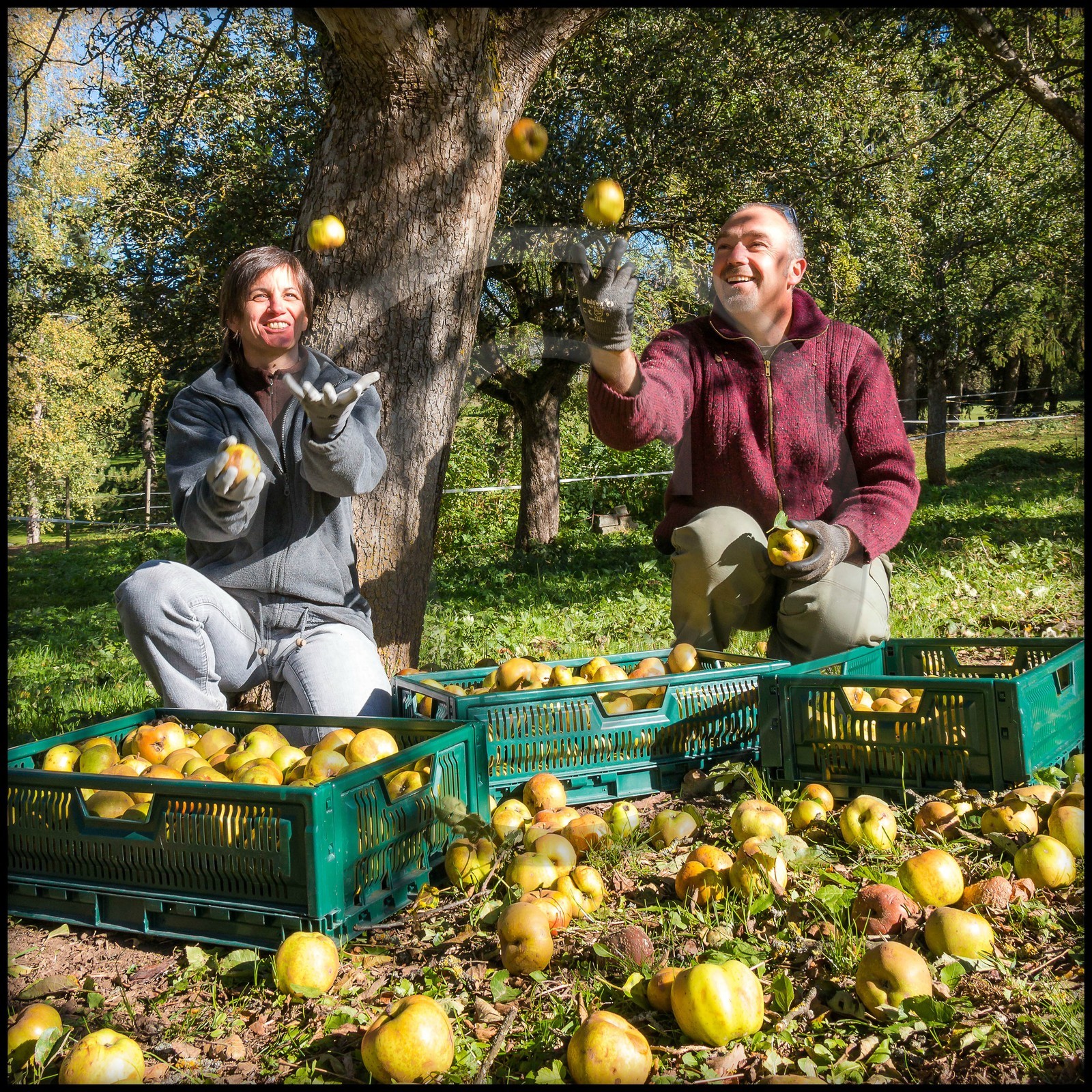 Etablissement Gayral, producteur de jus