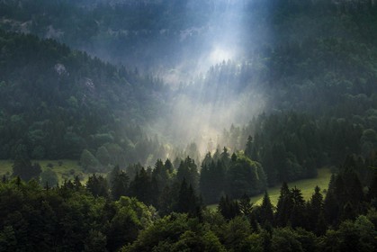 ENS de l'Isère, Les Ecouges