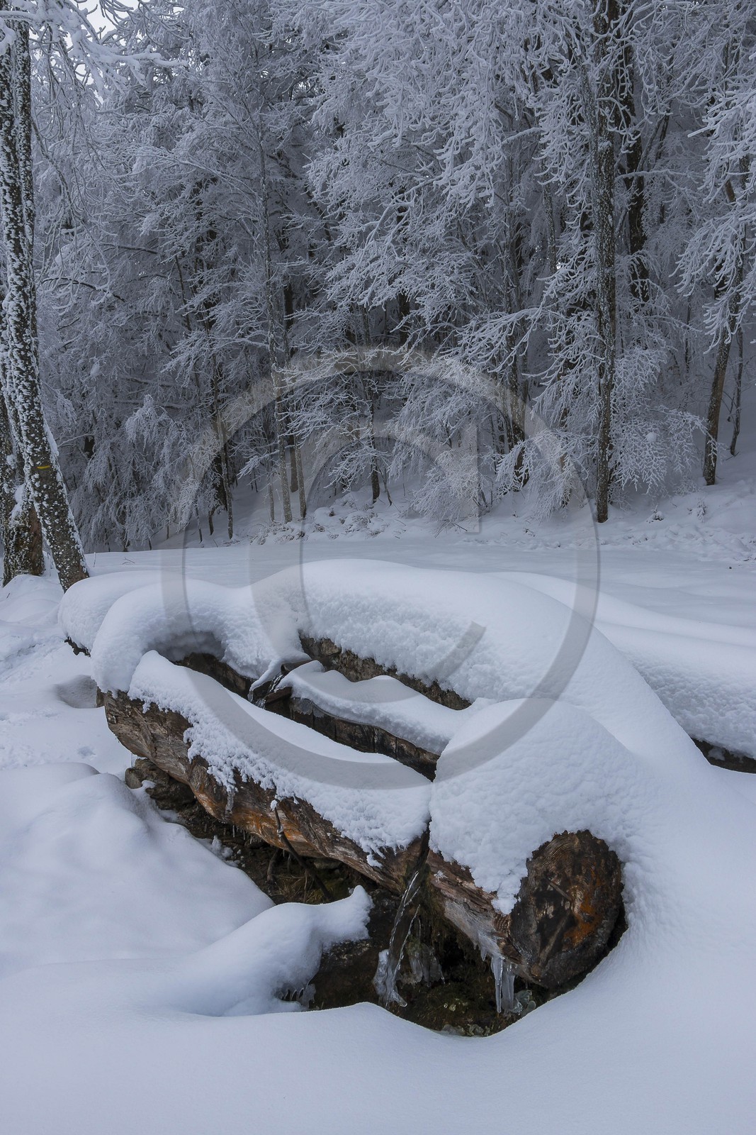 ENS de l'Isère, Les Ecouges, fontaine du Rivet