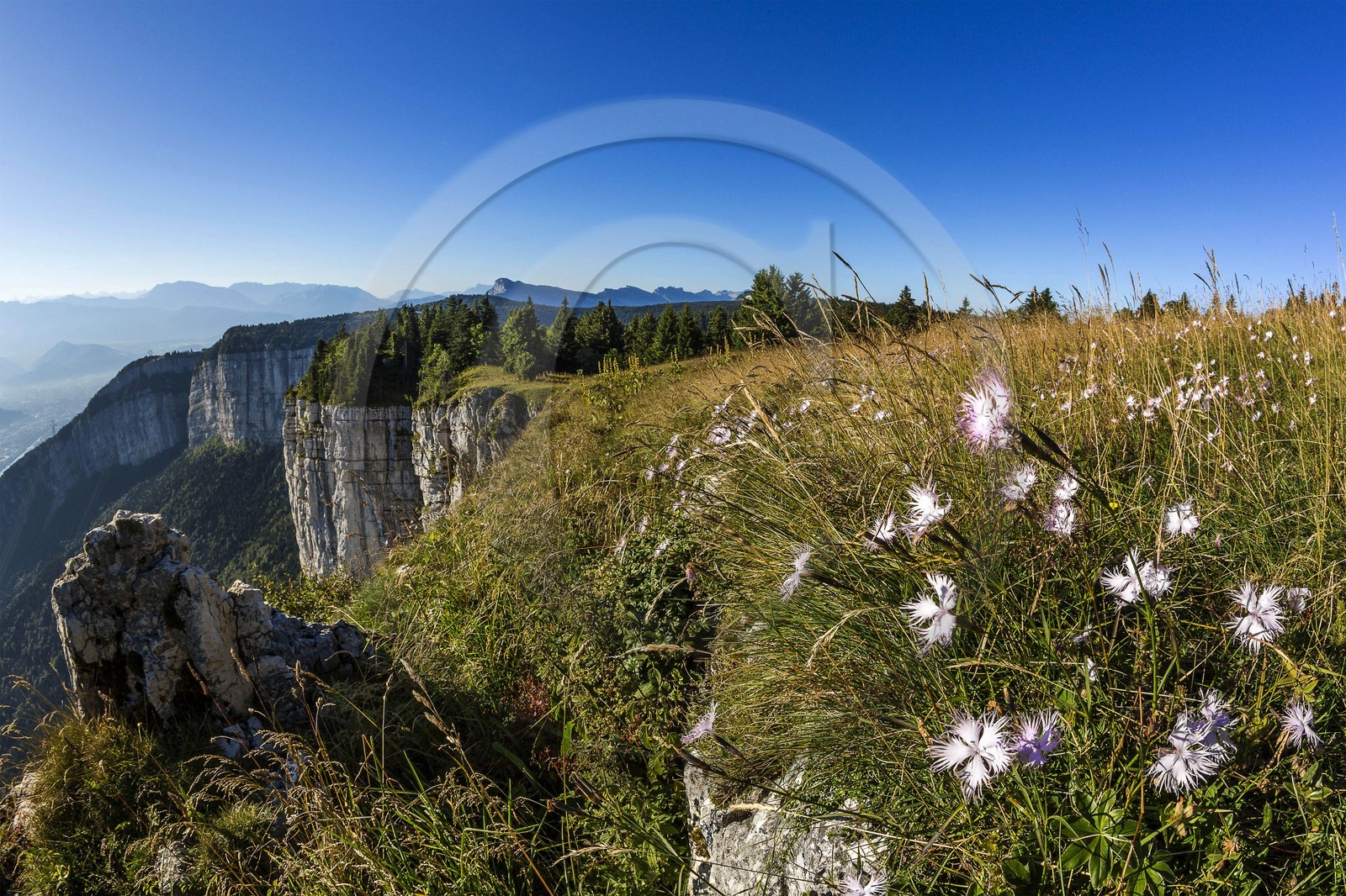 ENS de l'Isère, Plateau de la Molière et du Sornin, du plateau de Sornin