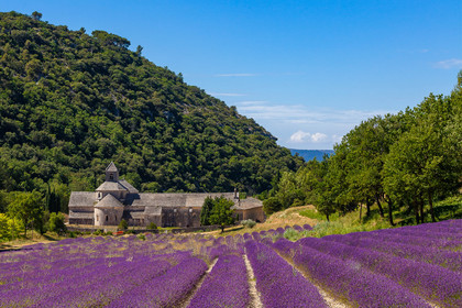 Gordes, Abbaye Notre-Dame de Sénanque