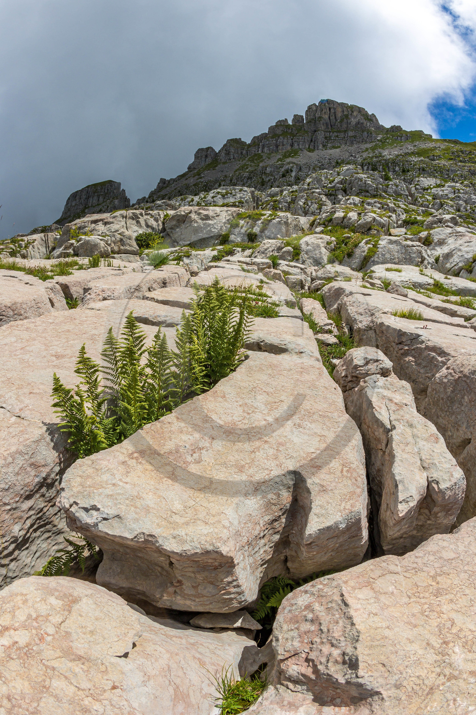Les Oucanes de Chabrières