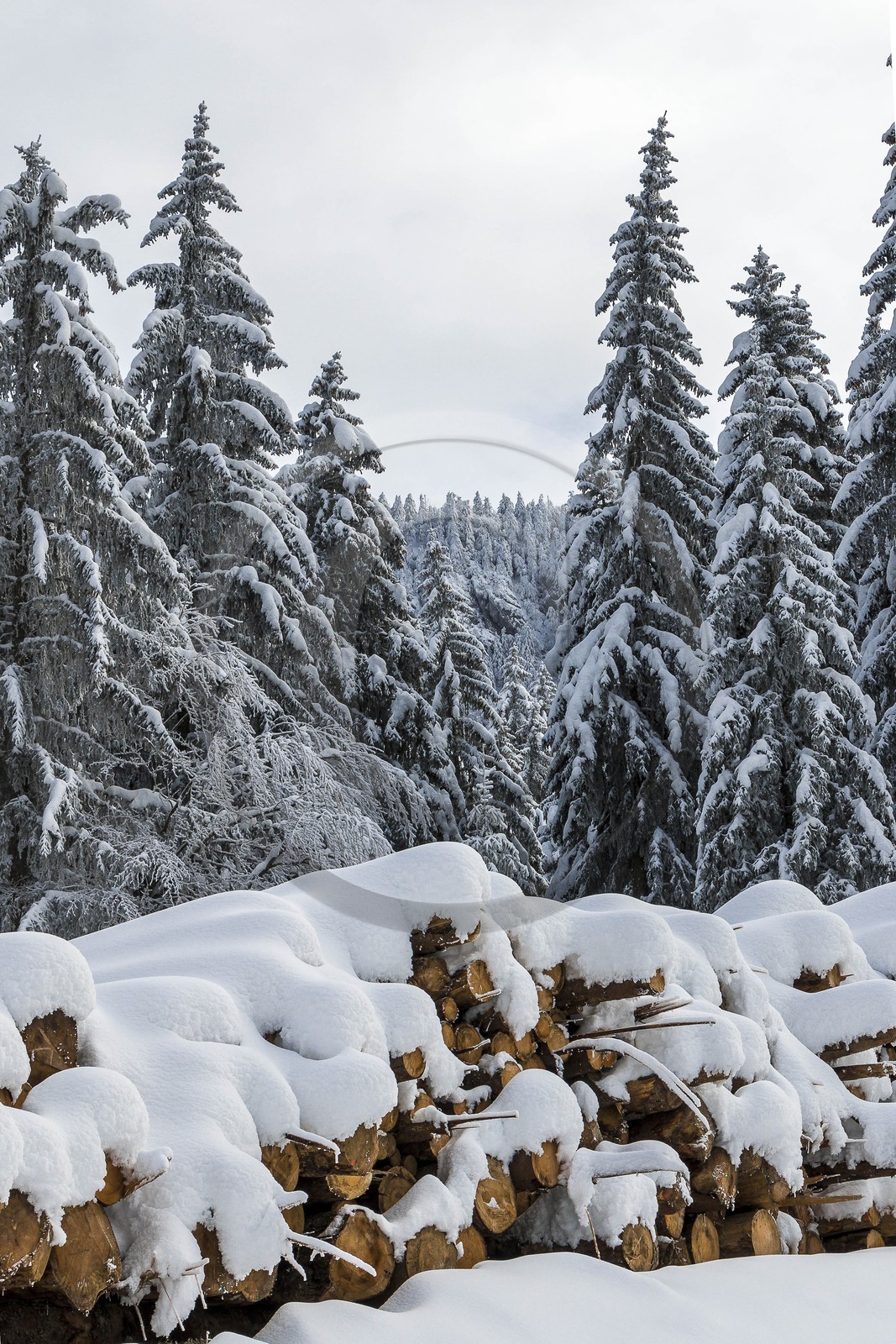ENS de l'Isère, Les Ecouges