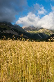 vallon de La Jarjatte