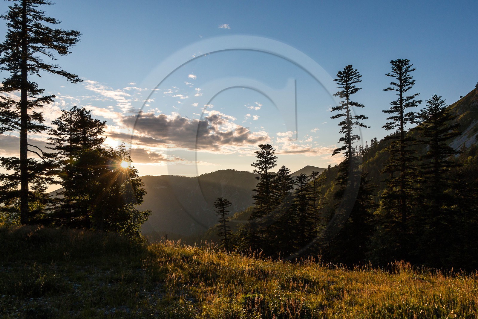 vallon de La Jarjatte