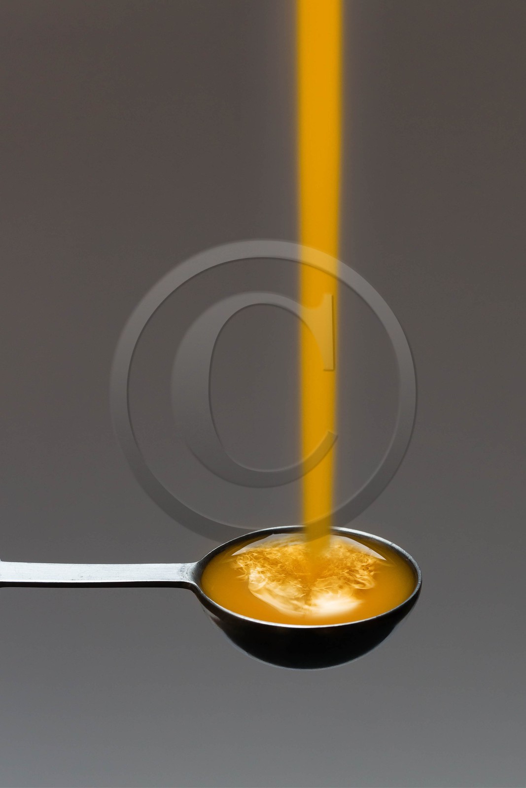 David Viveau agriculteur, producteur de baies d'argousier