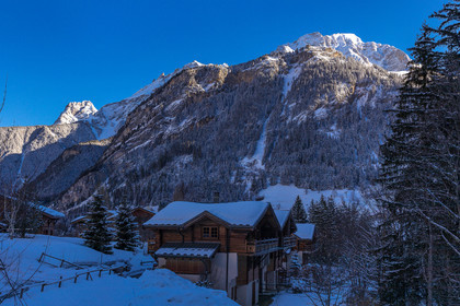 Pralognan-la-Vanoise, bouquetin en bronze