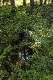 ENS de l'Isère, Marais des Seiglières