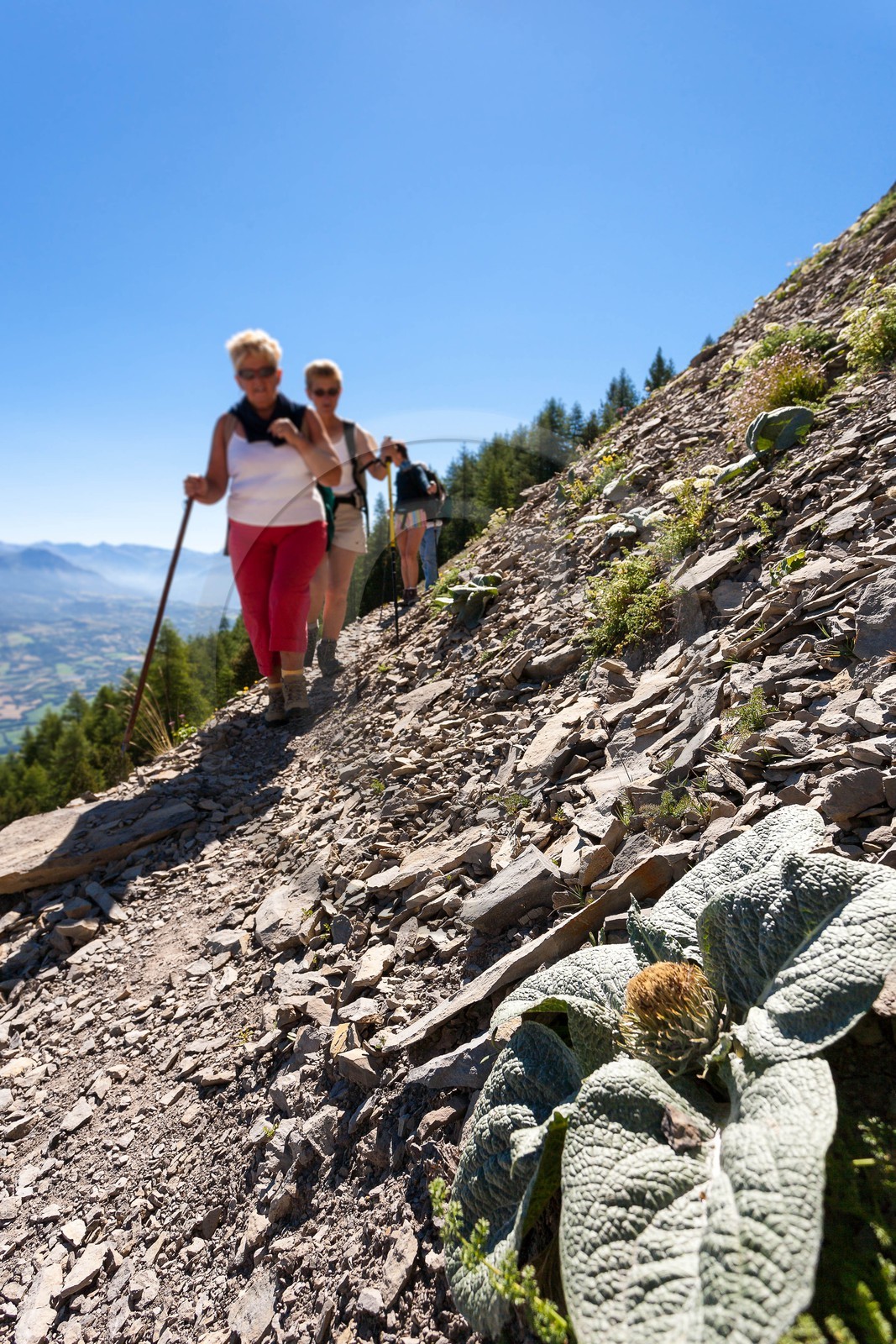 Vallée du Champsaur,  La Fare-en-Champsaur, randonnée de Moutet
