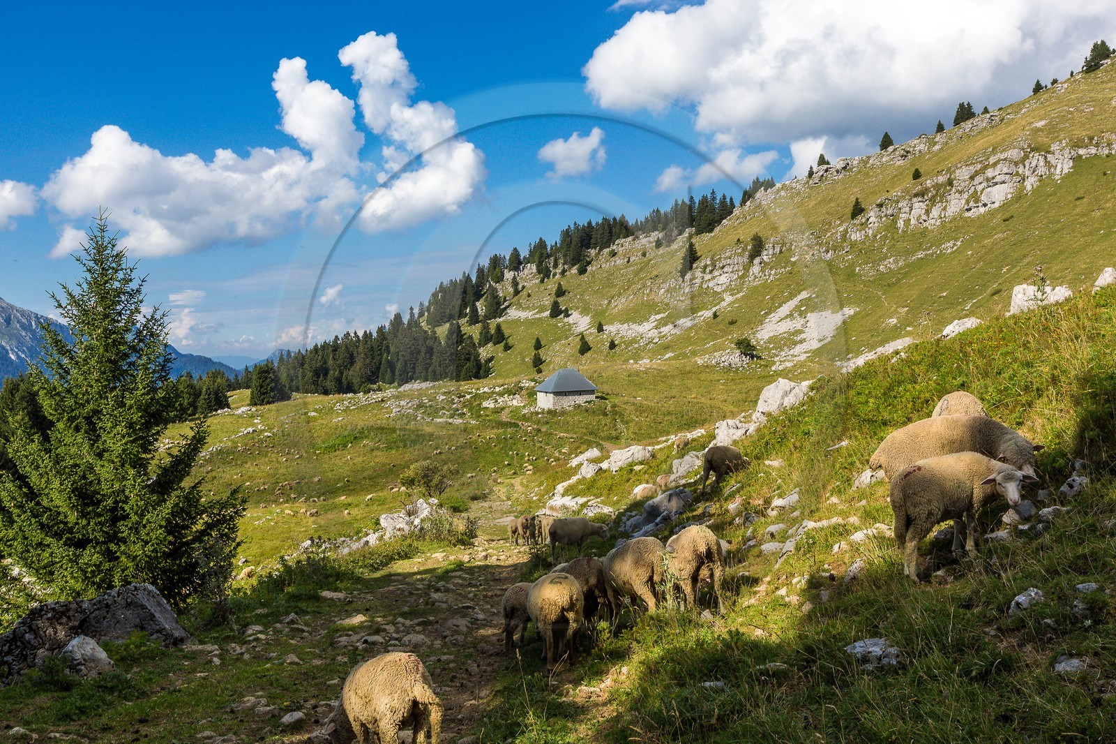 Espace naturel sensible de l'Isère, Col du Coq