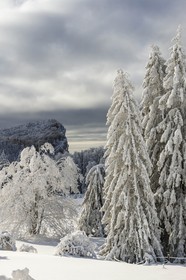 ENS de l'Isère, Les Ecouges