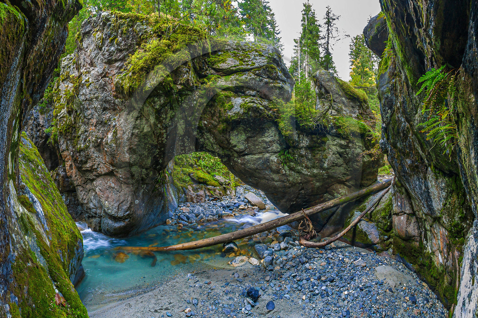 Réserve naturelle des Contamines-Montjoie, Pont naturel, torrent du Bon Nant