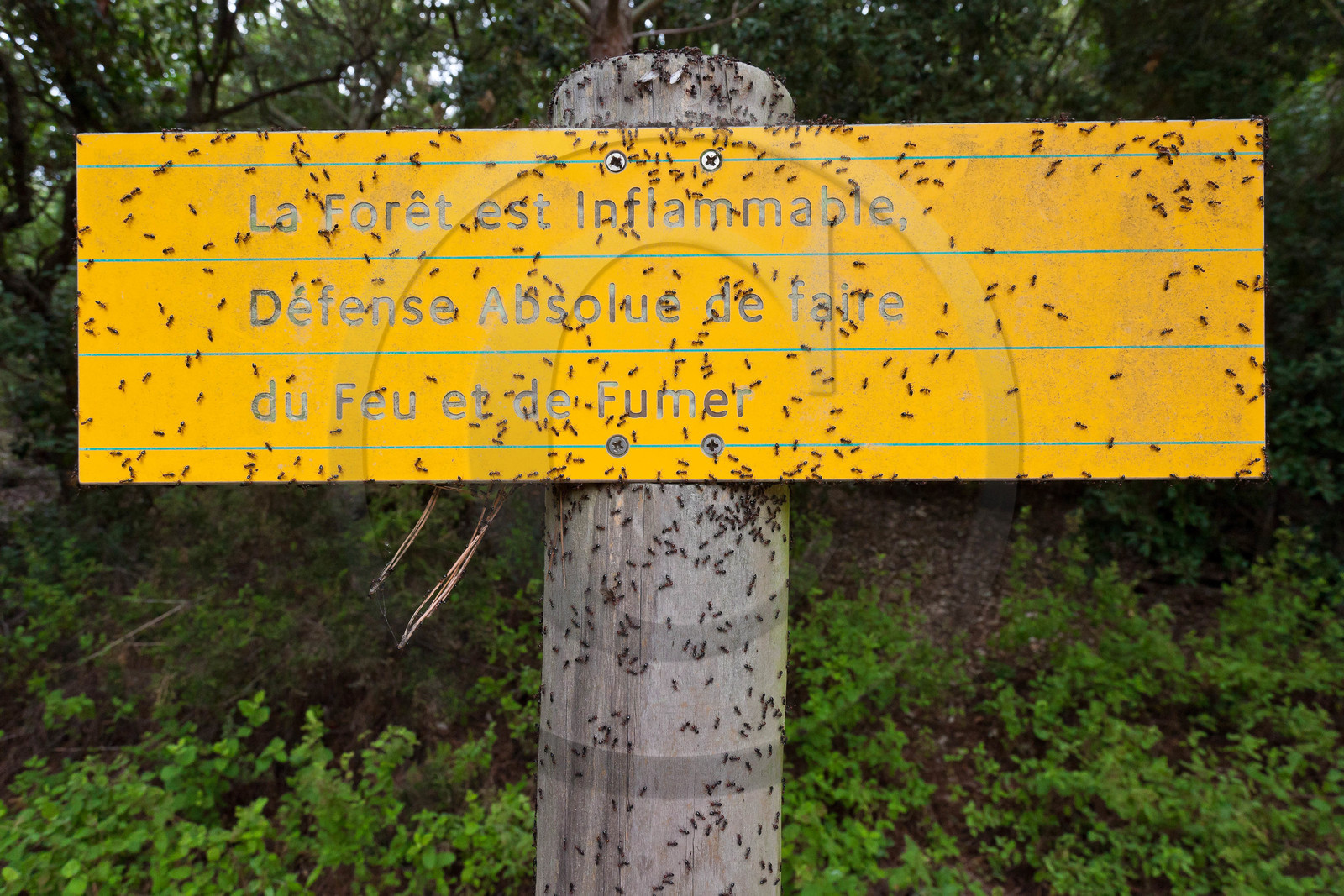 Parc national de Port-Cros