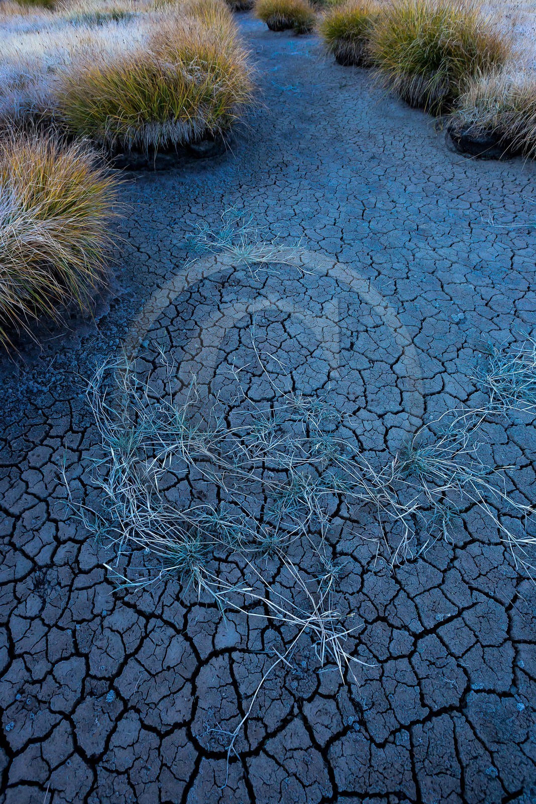 Vallon du Laverq, lac et tourbière Les Eaux-Tortes