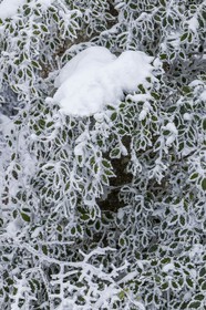 ENS de l'Isère, Les Ecouges