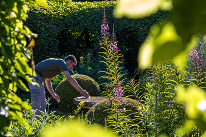 Matthieu Constans, chef jardinier du Jardin des Cinq Sens