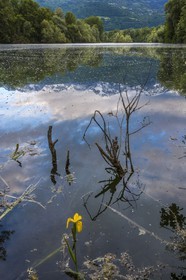 ENS de l'Isère, bois de la Bâtie