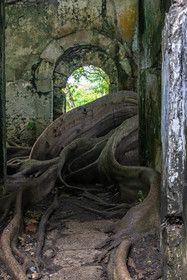Guadeloupe, ancienne prison et le Figuier Maudit