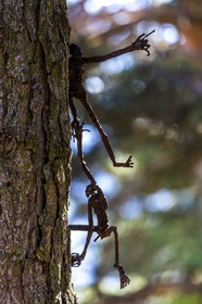 Arboretum de Roure, l'art et l'arbre, Louis Dollé, sculpteur Imagier