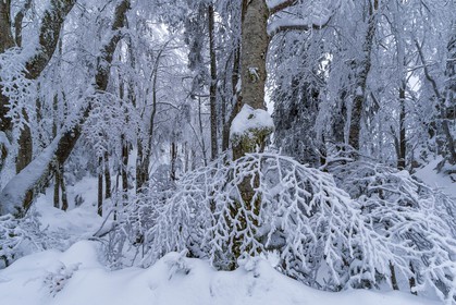 ENS de l'Isère, Les Ecouges