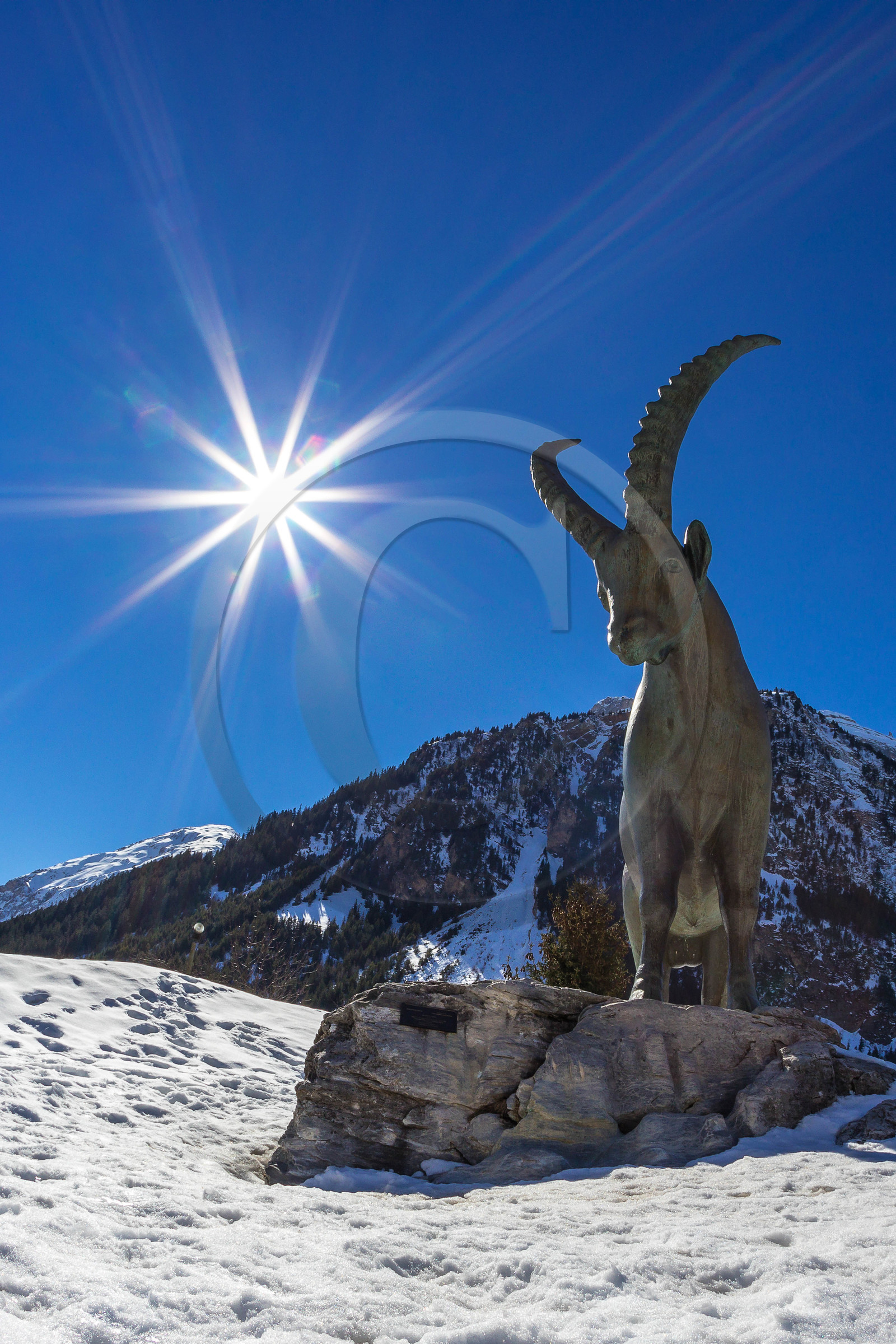 Pralognan-la-Vanoise, bouquetin en bronze