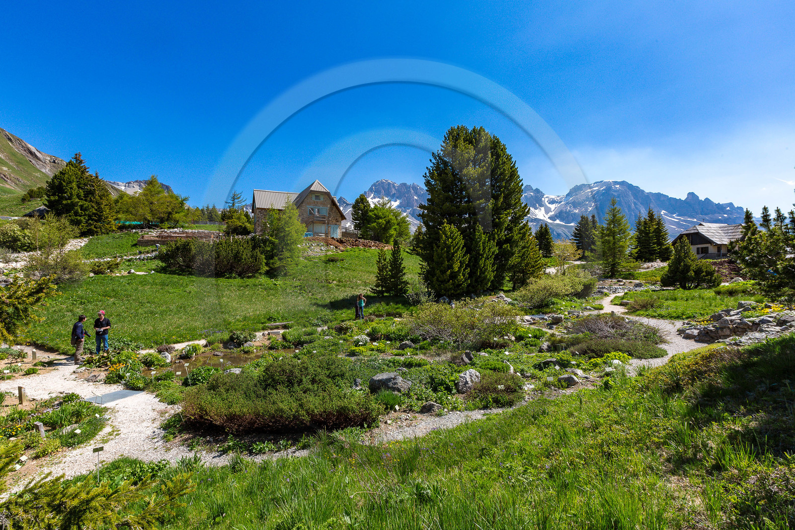 Jardin Botanique Alpin du Lautaret