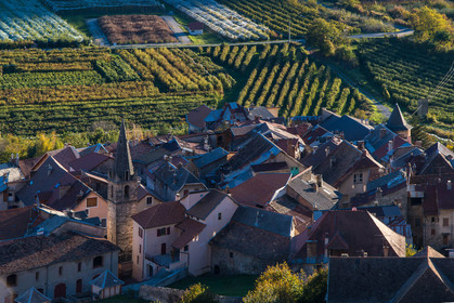 Remollon