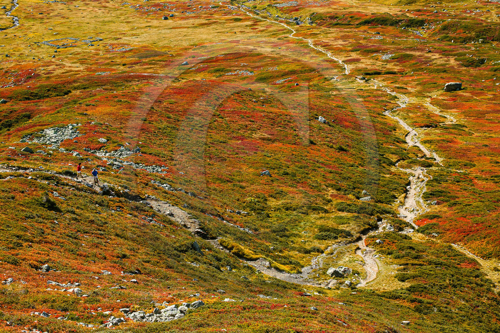 Randonnée pédestre sur le sentier des lacs Jovet