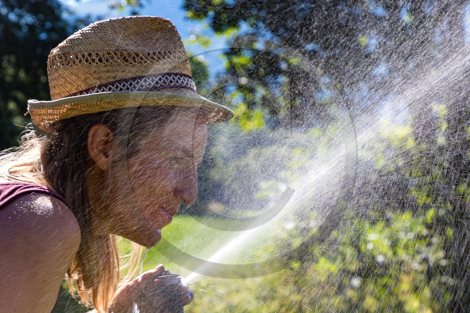 LéguMontagne,  Bertille Gieu, Maraîchère bio