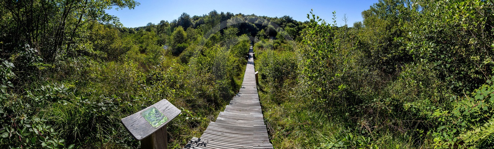 ENS de l'Isère, Tourbière des Planchettes