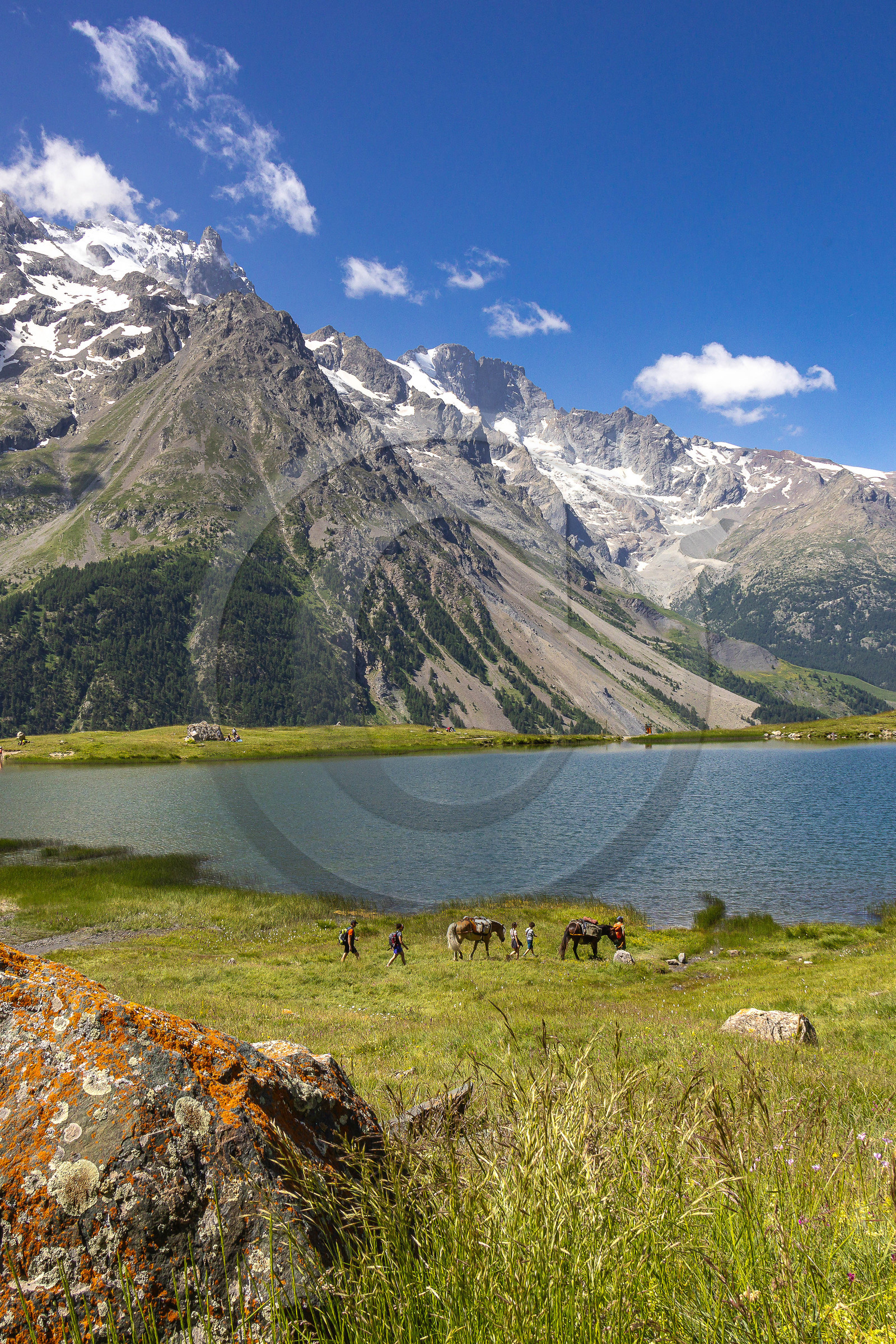 Trek famille avec animaux de bats